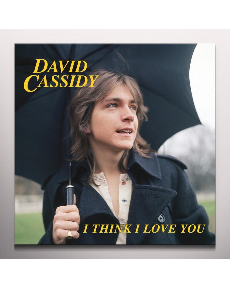 David Cassidy I Think I Love You Vinyl Record $10.10 Vinyl