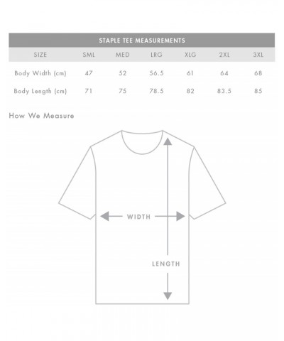 The Veronicas 'V Tour' / White T-shirt $3.60 Shirts